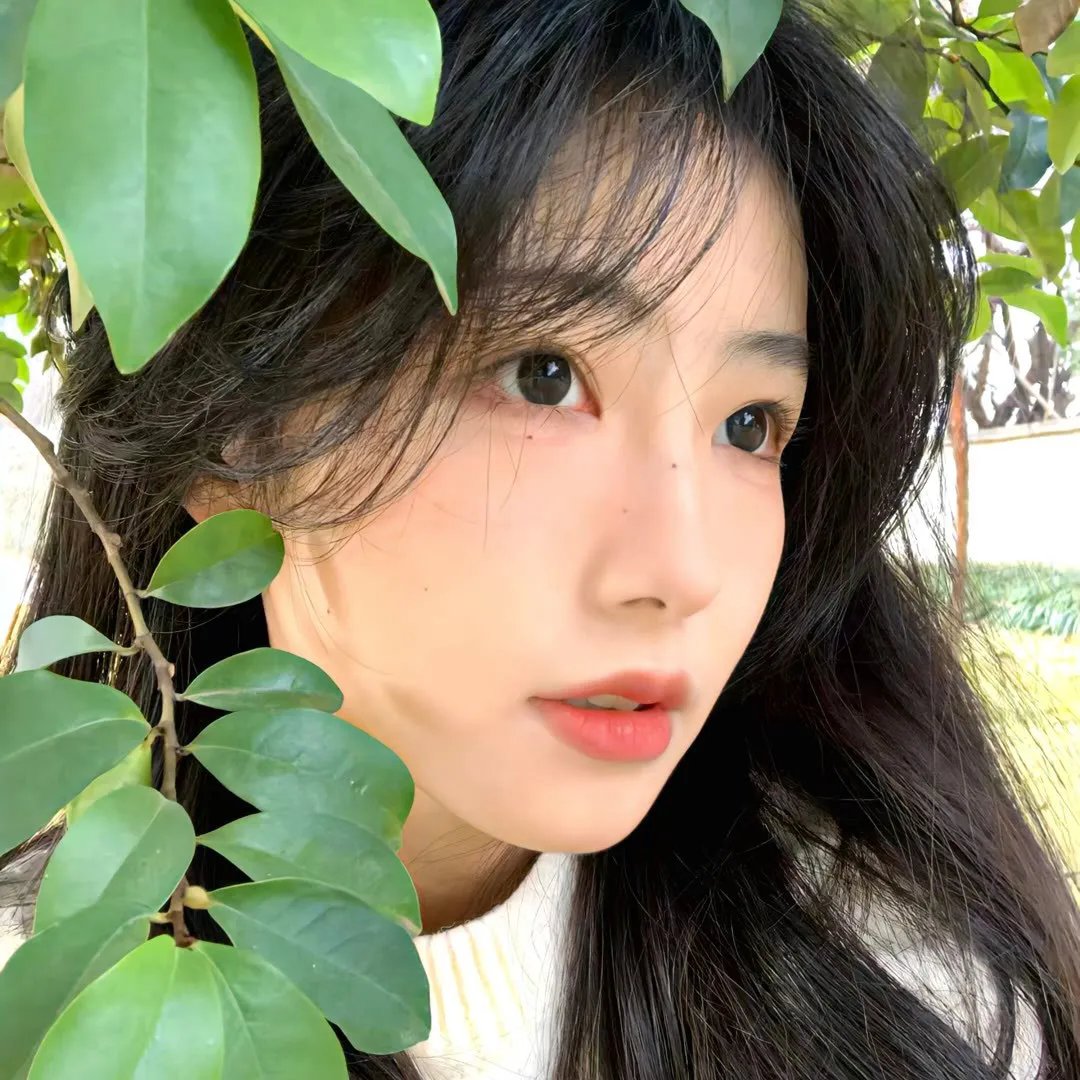 我的学霸男友